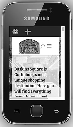 Baskins Square website